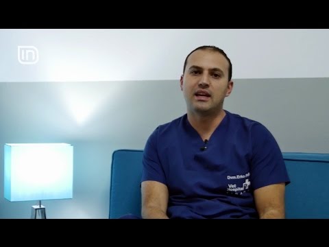 Life is Better with Friends 02112016 - Si te mbroni kafshet shtepiake nga i ftohti