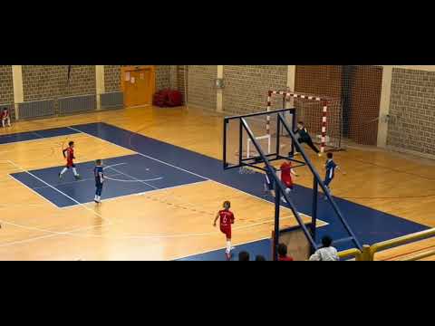 Miniatură video