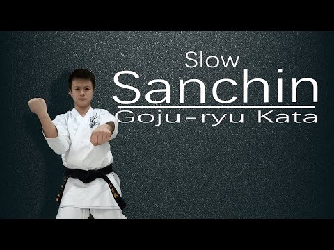 Goju-ryu Kata Sanchin    (Slow）