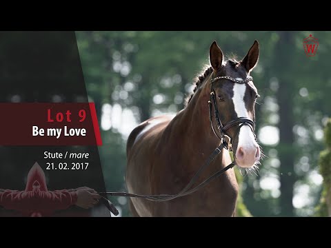 09 Be my Love Stute v. Benicio - Sir Heinrich