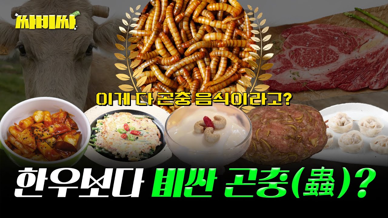 소고기보다 비싼 곤충 음식 근황 | 고기 반찬 vs 곤충 반찬? | 싸비싸