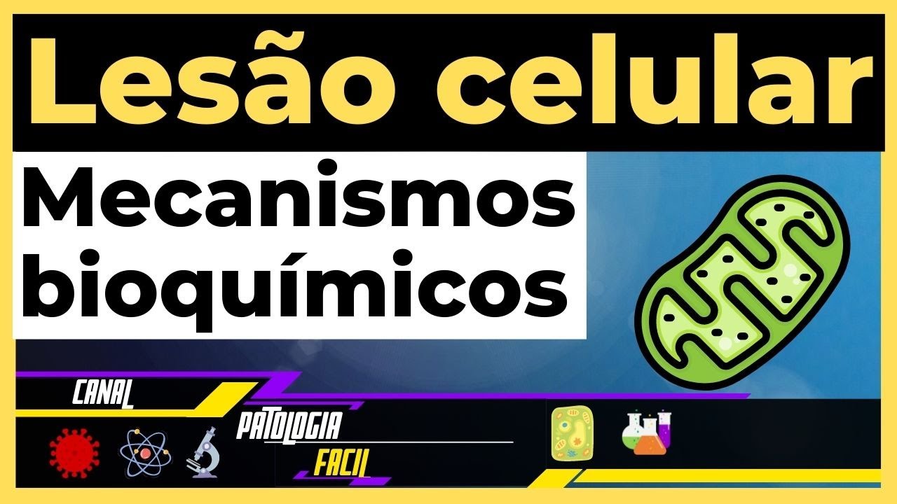 *Mecanismos de lesão celular:* Aula de patologia 06 [Atualizado]