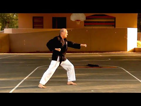 Lunge Punch -Sensei Rod Lindgren