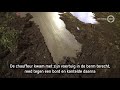 A50 vol met stront na crash vrachtwagen
