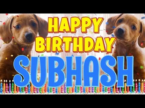 Happy Birthday Subhash! ( Funny Talking Dogs ) What Is Free On My Birthday