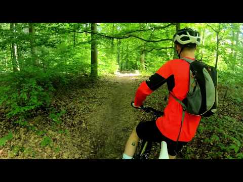 Bergamont Mountain Bike Test Review 2020