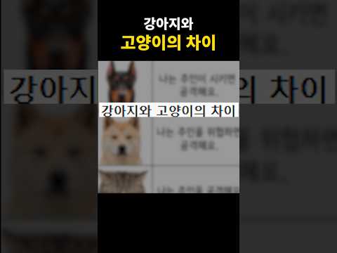 강아지와 고양이의 차이