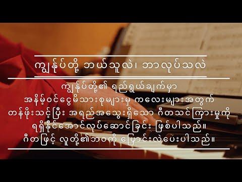 Burmese Video