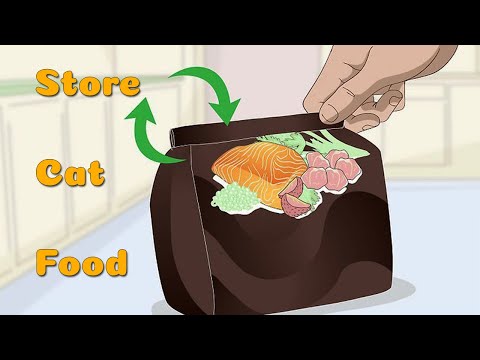 How to Store Cat Food Properly