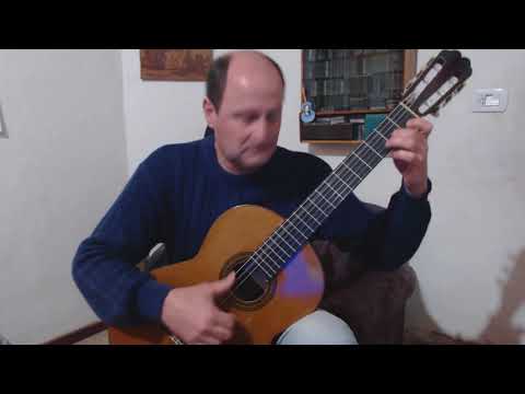 El pocas pulgas (gato) A. Yupanqui Interp. Jorge Picchio
