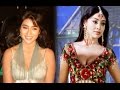 A Montage Of Shriya Saran Pictures