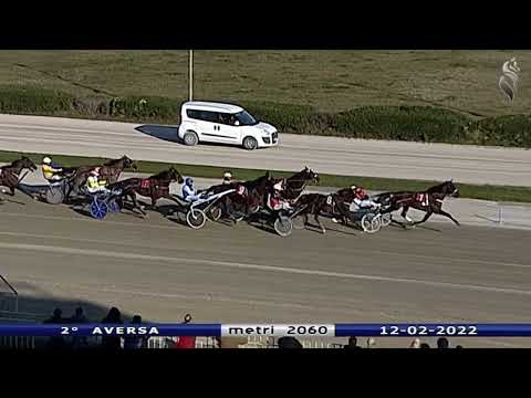 Aversa trotto 12 Febbraio 2022 - 2° Corsa