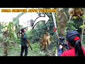 SADIS NYA DUA SNIPER HUNTING TAK RAGU RAGU DI BANTAI DAN DI LIBAS SEMUA NYA Aksi Terbaik