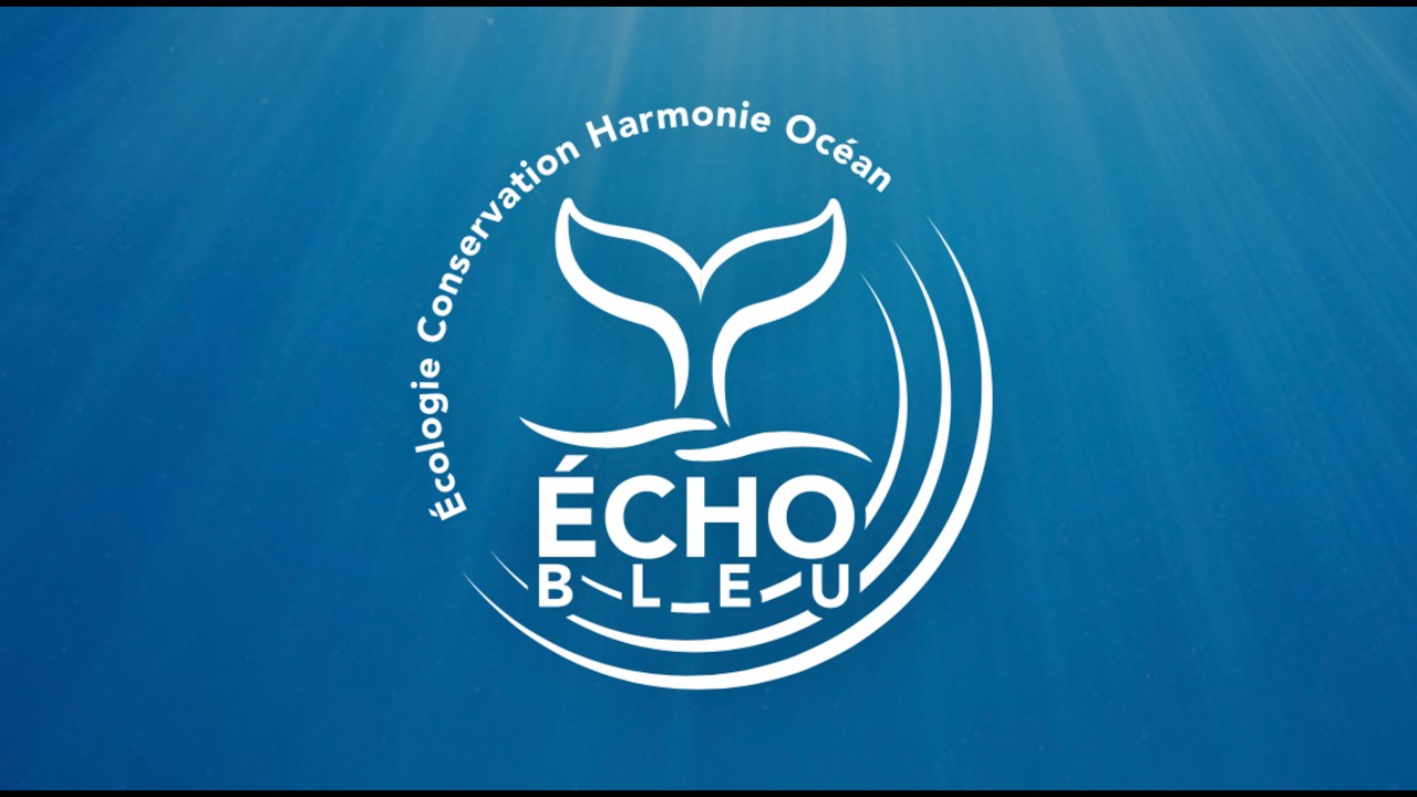 L' Application Écho Bleu