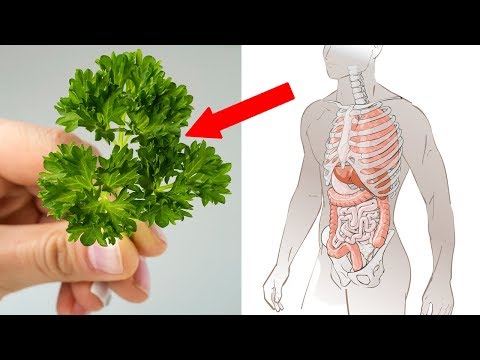 , title : '7 Reasons Why You Should Eat More Parsley - Health Benefits of Parsley