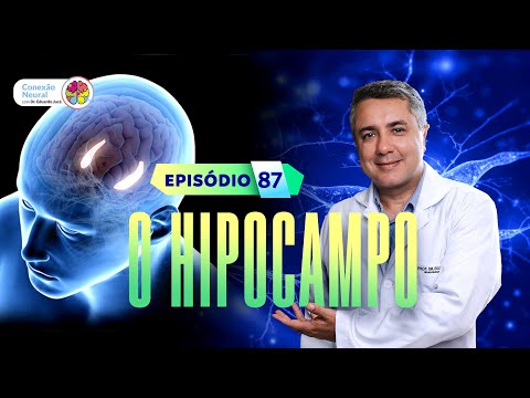 THE HIPPOCAMPUS | EP.: 87