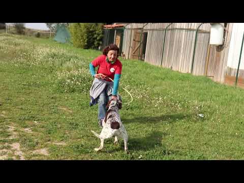 Vídeo de MAYA