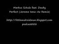 Markus Schulz feat. Dauby - Perfect (Jerome Isma ...