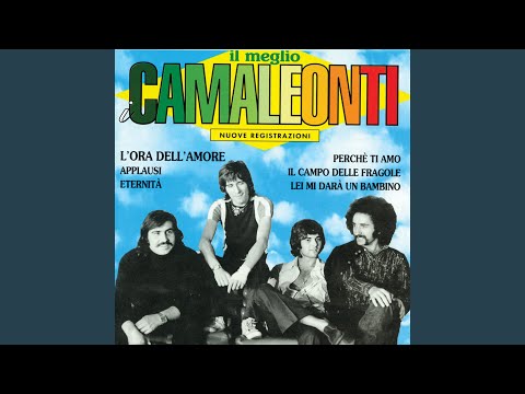 Video per il significato della canzone Io per lei di Camaleonti
