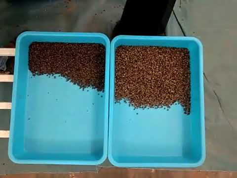 Spice Color Sorting Machine