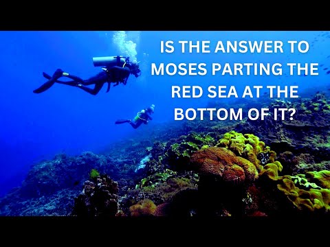 Did Moses Really Part The Red Sea? Christian Fundamentalists Say Proof The Red Sea Did Split. Debunk
