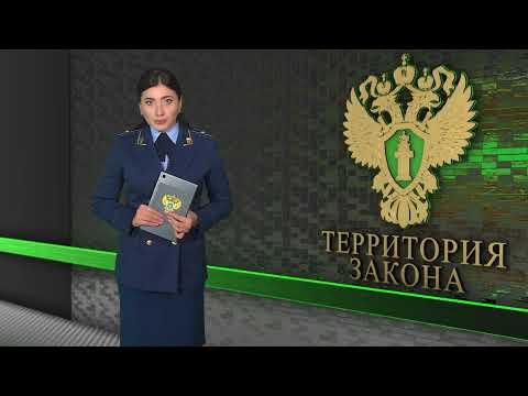 Территория закона / 21.11.2022