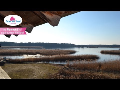 Urlaub mit Hund Lausitz - Ferienwohnung & Ferienhaus Lausitz mit Hund