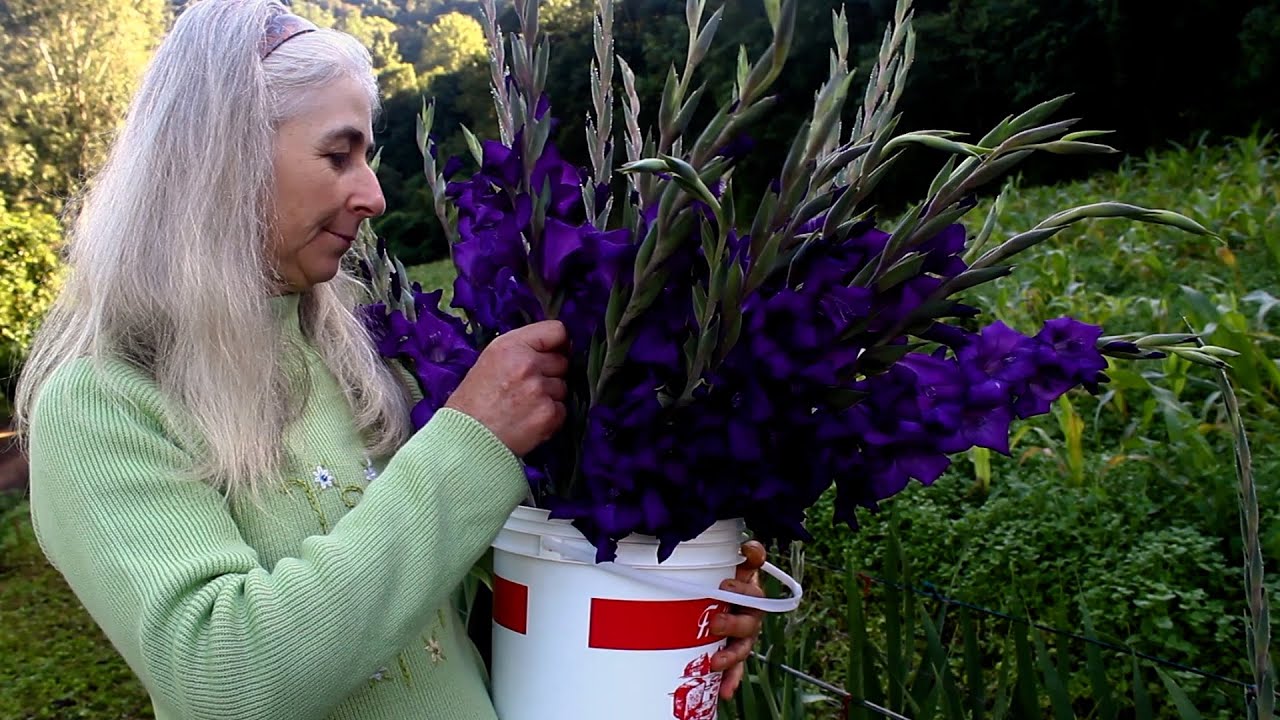 Agricultores que plantam flores!