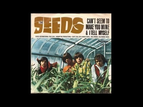 The Seeds - Can't Seem to Make You Mine (1965)