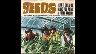 The Seeds - Can&#39;t Seem to Make You Mine (1965)