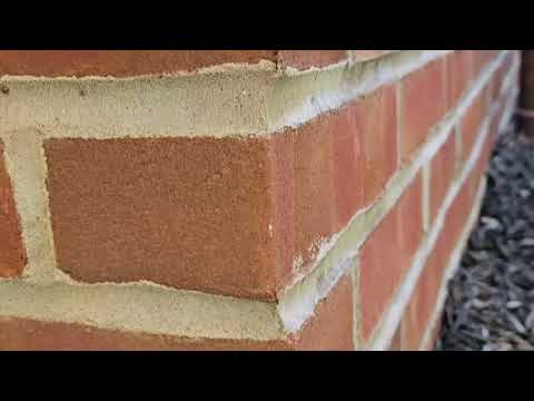 How the Ants Got Into the Home in Spring Lake, NJ