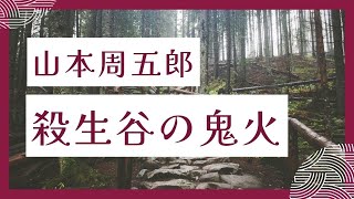 山本周五郎　【殺生谷の鬼火】　　朗読七味春五郎　　発行元丸竹書房