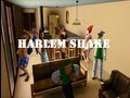 Harlem Shake- The Sims 3 Harlem Shake- The Sims 3
