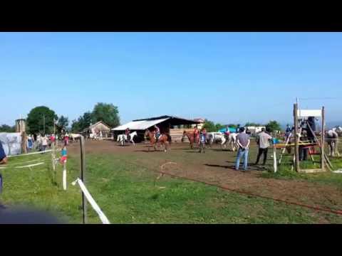 Anduranta Şieu-Sfântu 2014 - Startul probei de 60km si 80km