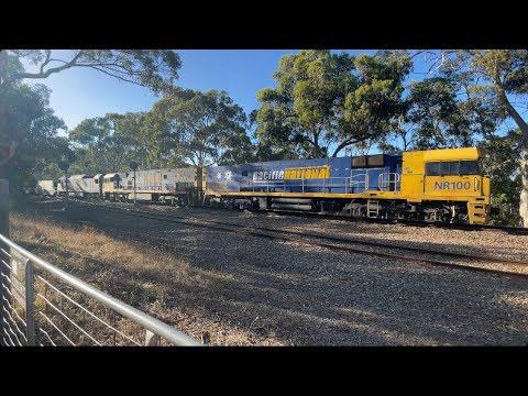 #NR100, #NR43 & #AN1 leads 6MP5 through Belair