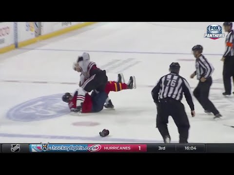 Andrew Desjardins vs Alex Petrovic