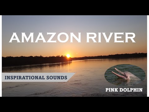Amazon River, incredible relaxing sounds of the Amazon