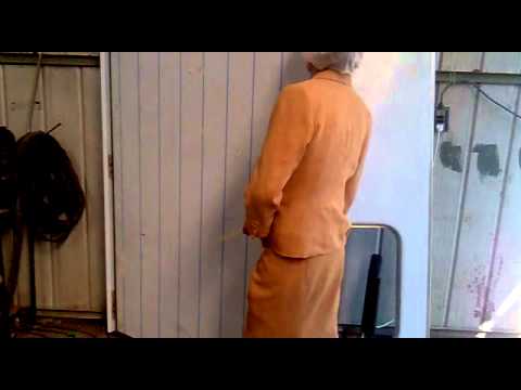 Mama del Conde Brolock