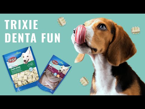 Ласощі Denta Fun для котів, з лососем, 50 гр video