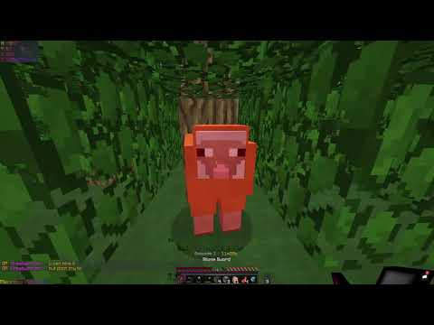 Amalgam UHC Season 2 Episode 1