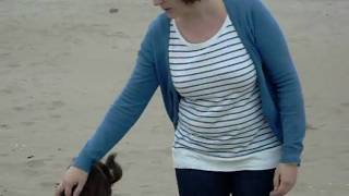 Punta del Fangar: Arena y espejismos