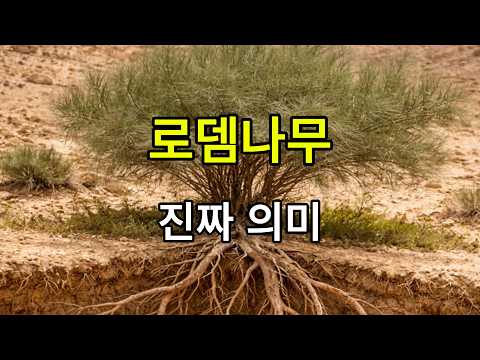 인간이 끝났을 때 만나는 나무, 로뎀나무