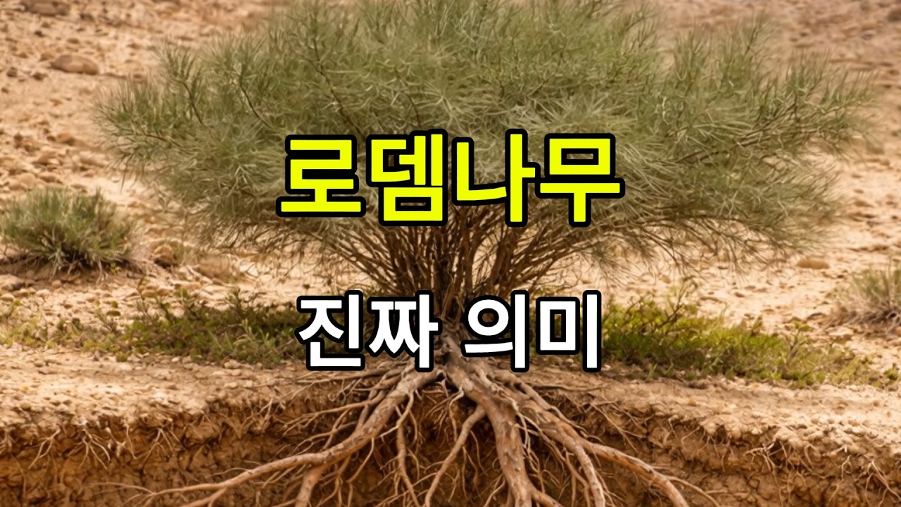 인간이 끝났을 때 만나는 나무, 로뎀나무