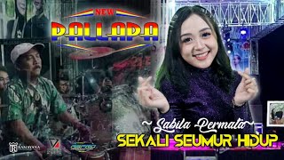 Download lagu SEKALI SEUMUR HIDUP - SABILA PERMATA Ft NEW PALLAPA Live Pekalongan 2022 mp3 Download lagu SEKALI SEUMUR HIDUP - SABILA PERMATA Ft NEW PALLAPA Live Pekalongan 2022 mp3