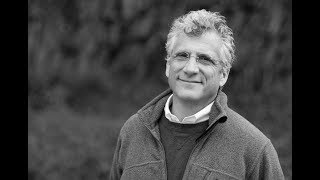 How to practice the art of Wu-Wei? - Will Rosenzweig