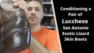How to Condition a pair of Lucchese San Antonio Exotic Lizard Skin Boots - ASMR