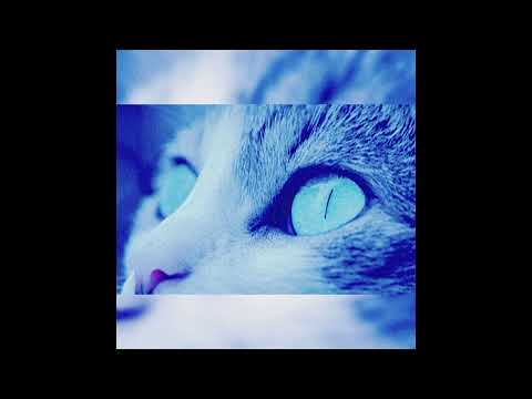 Video thumbnail for all eyes on me.