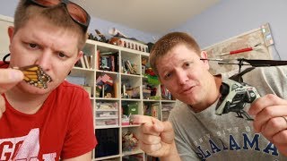 Robot Butterflies FOR THE FUTURE - DEEP DIVE 3 - Smarter Every Day 106