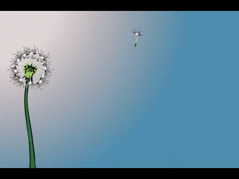 Alpha Cat (Something having to do with...) Spring - (Official Video)