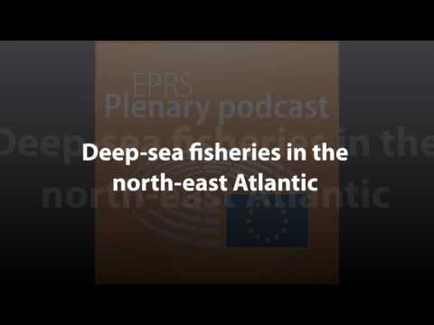 Deep-sea fisheries in the North-East Atlantic [Plenary Podcast]